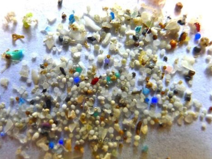 microbead image