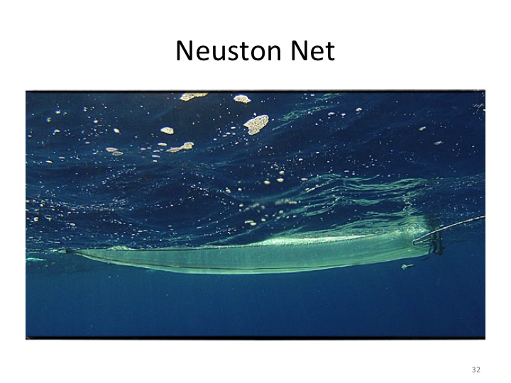 neuston copy